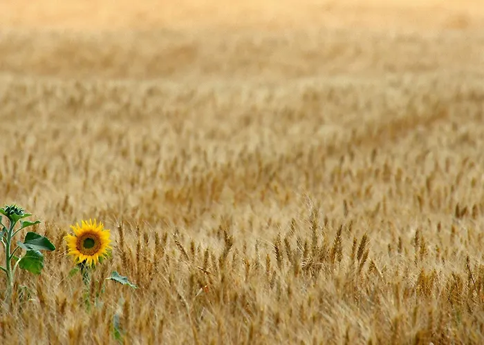 Borgo Mandoleto - Country & Feriested 3*